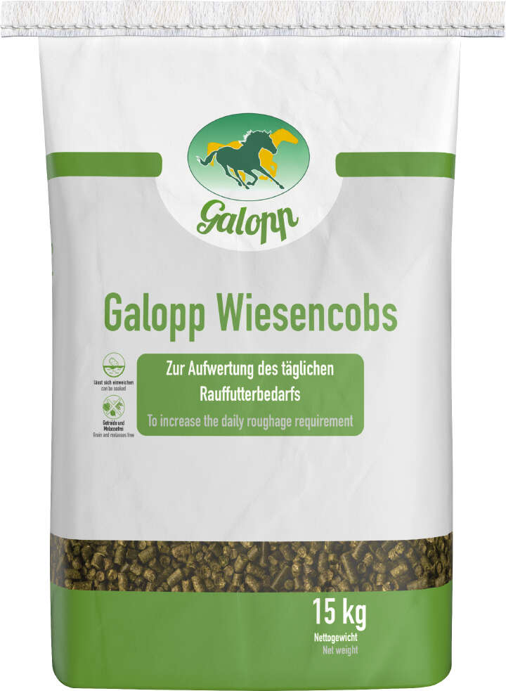 Galopp Wiesencobs